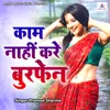 About Kaam Nahin Karen Boorphen Song